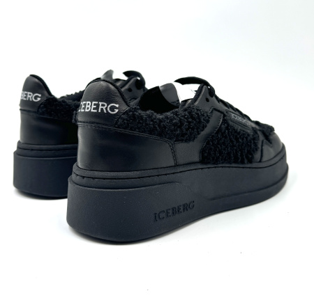 Iceberg